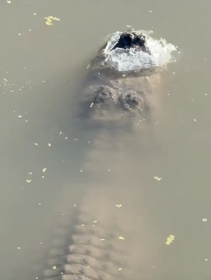 Viewers have been left shocked after learning this.