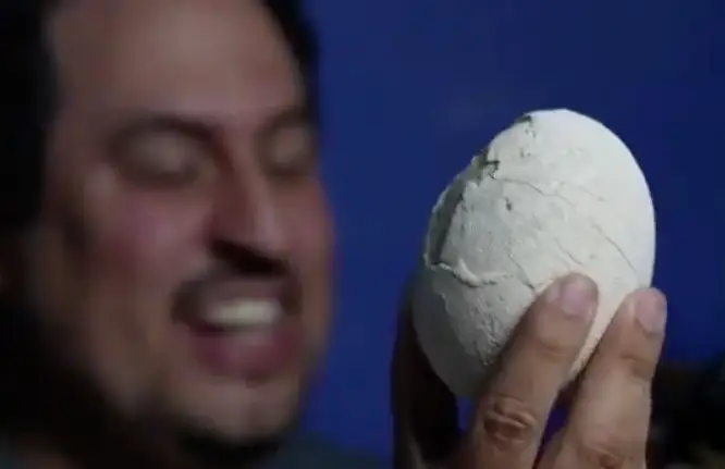 They say it's practically perfect (VEO NOTICIAS/YouTube)