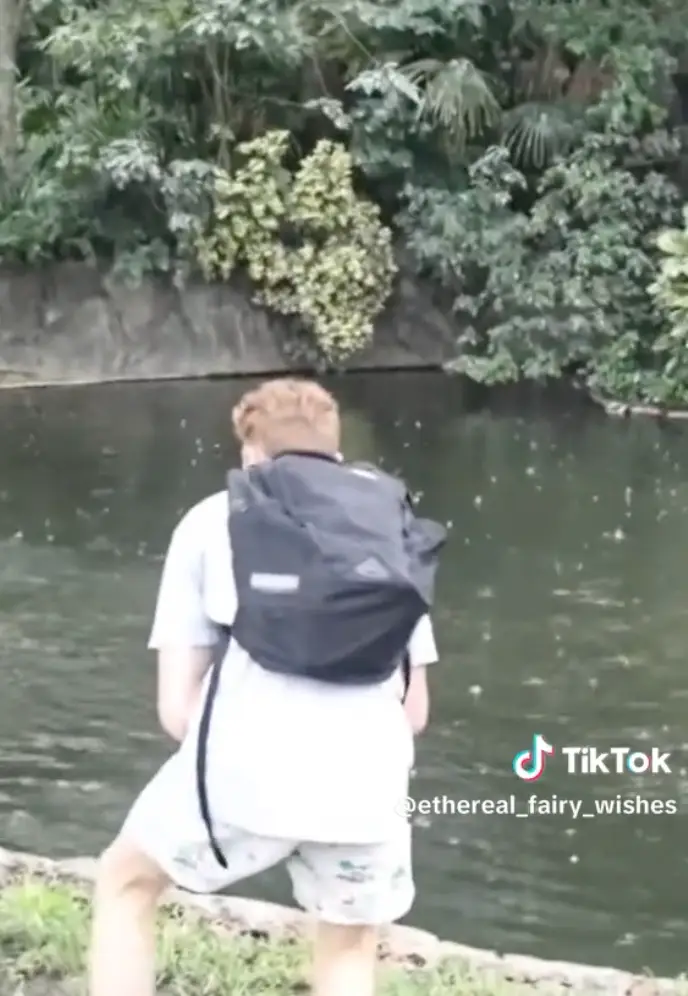 The man leapt into the Busch Gardens alligator enclosure.