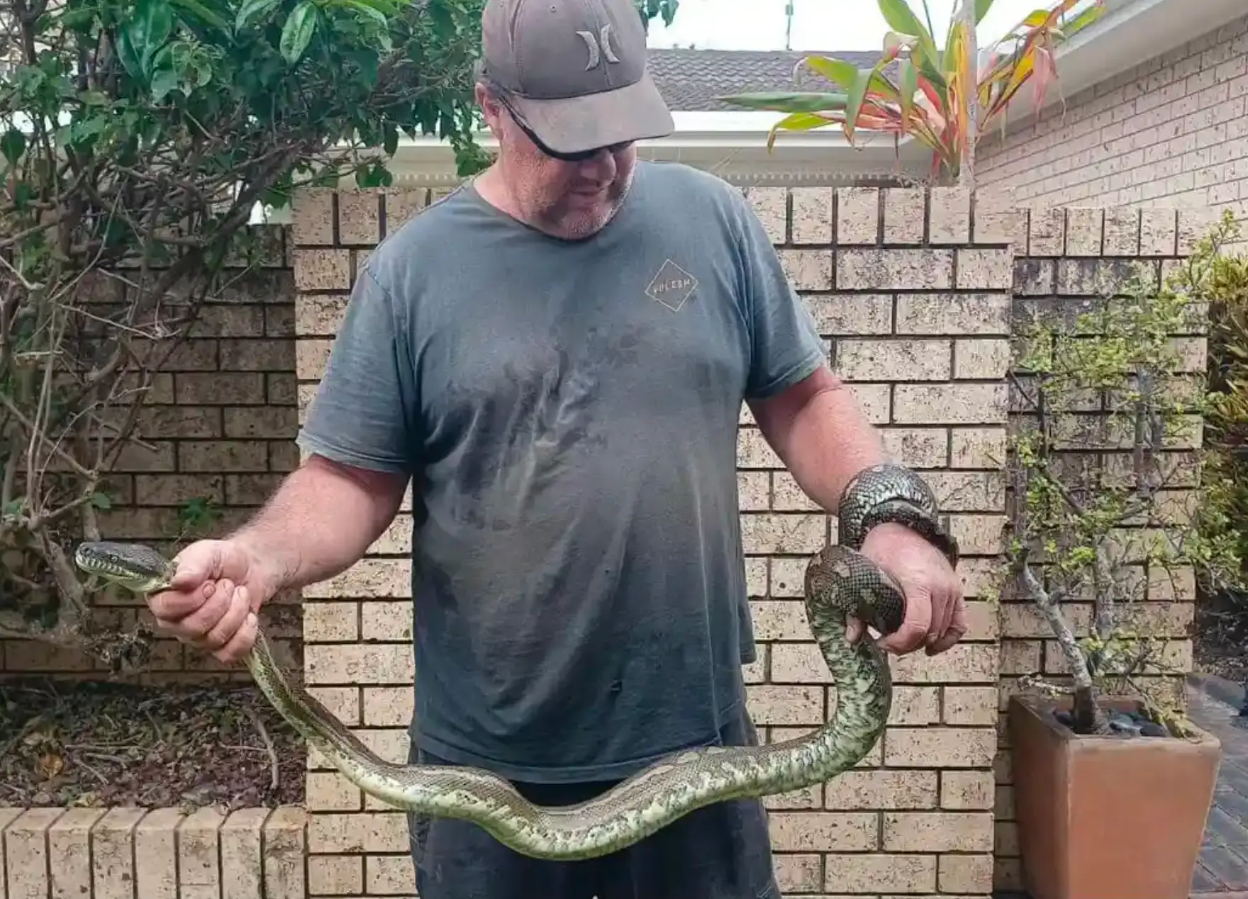 Ben had to wrestle the python before it let go of his son.