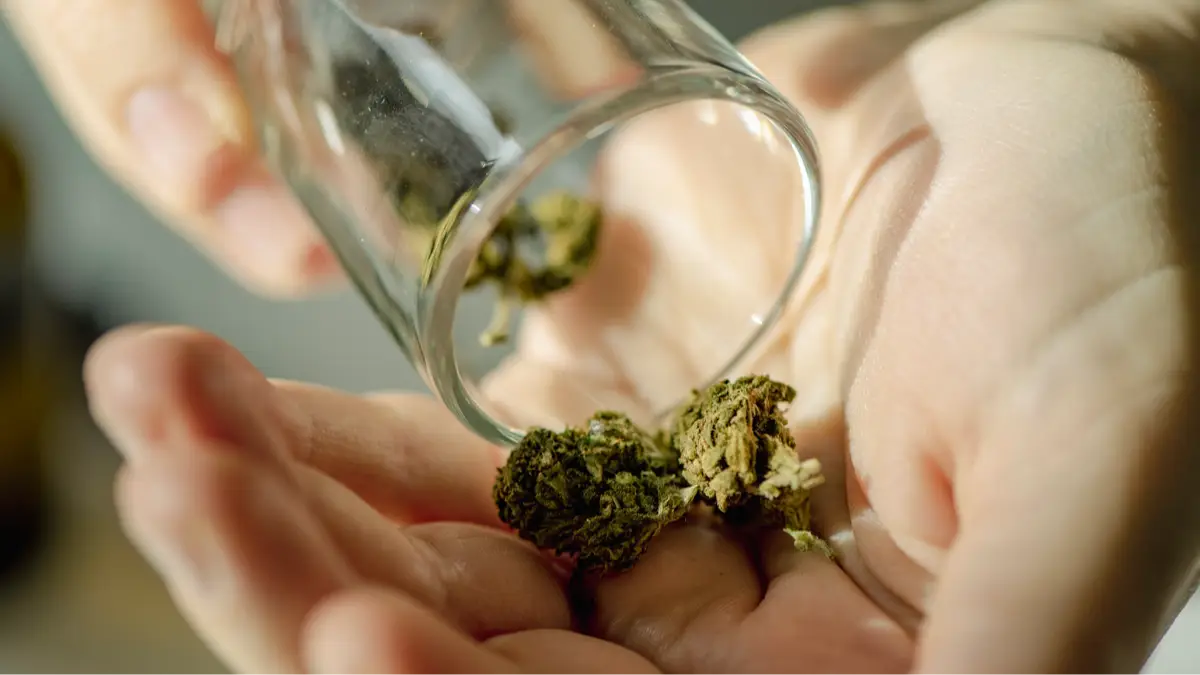 Getty Images/Emilija Manevska