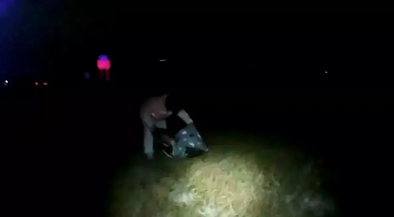 The baby was found roadside (City of Bryan Police Department)