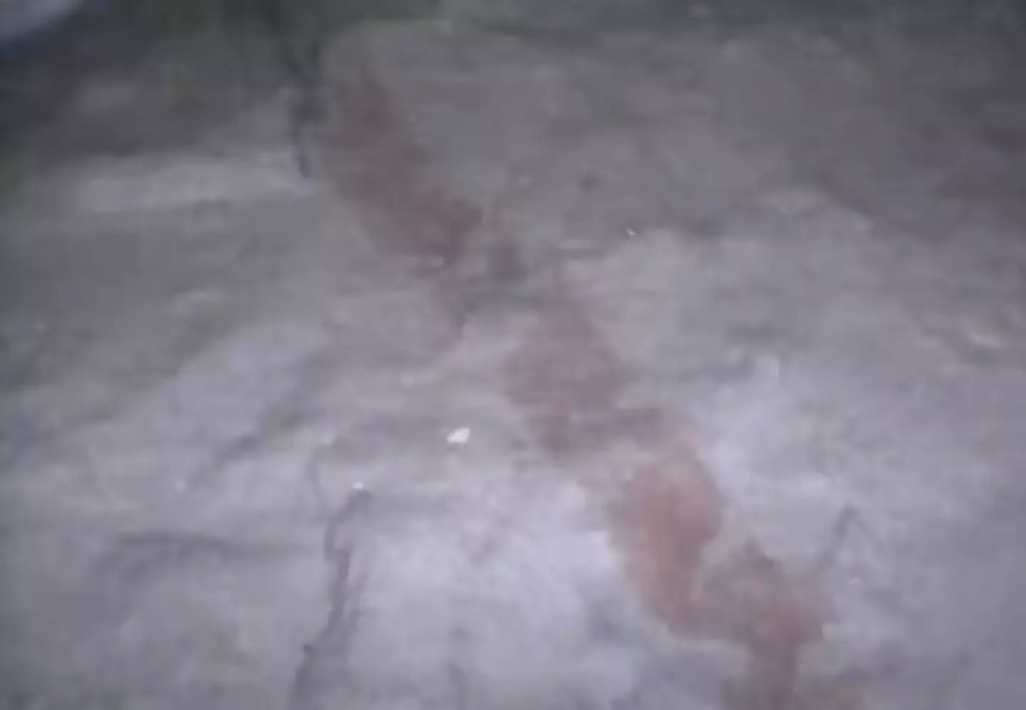 A robot obtained never-before-seen footage from unexplored areas of the pyramid. (YouTube/Ancient Architects)