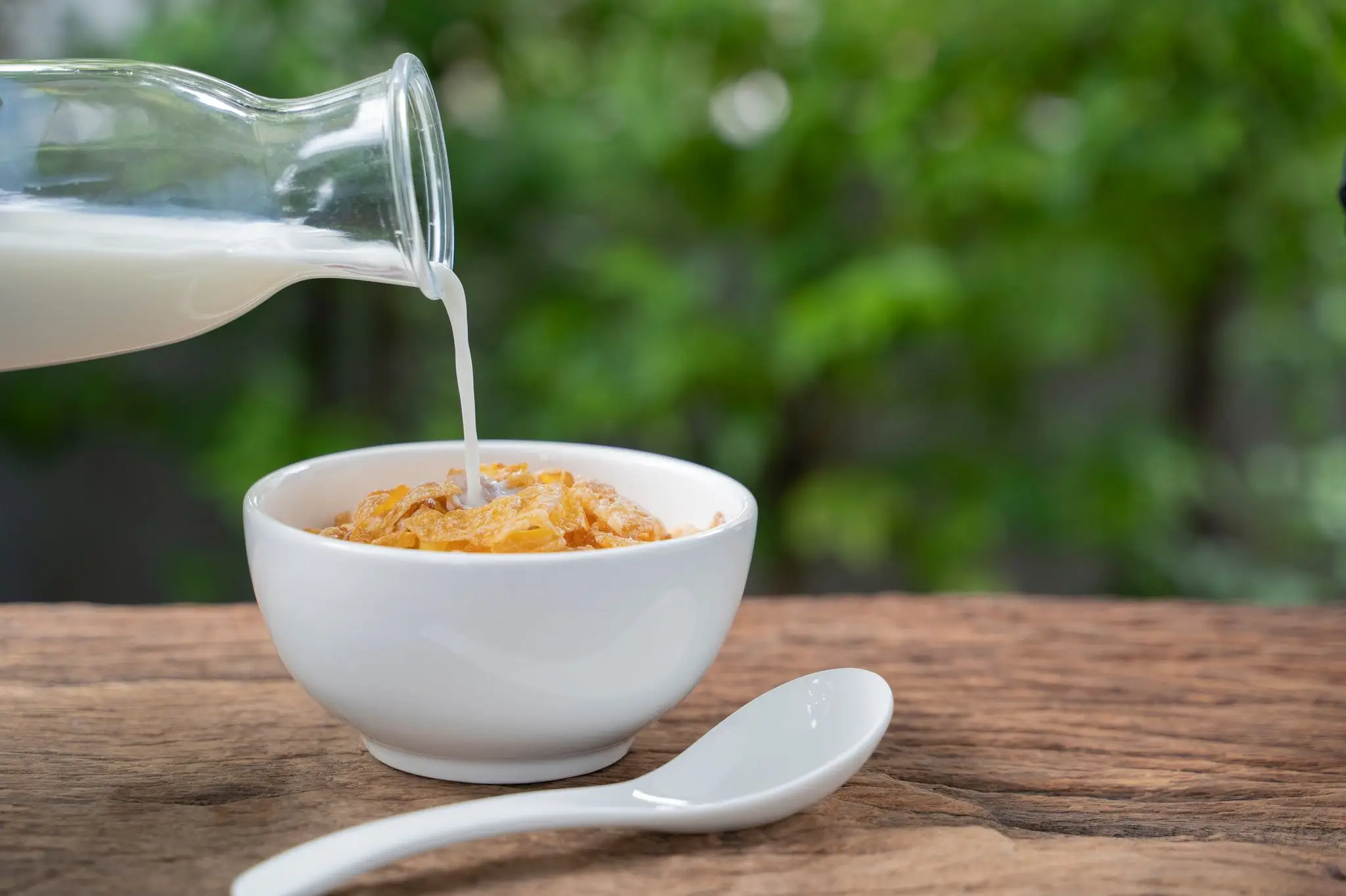 The expert shared that there is one cereal you should not consider (warodom changyencham / Getty)