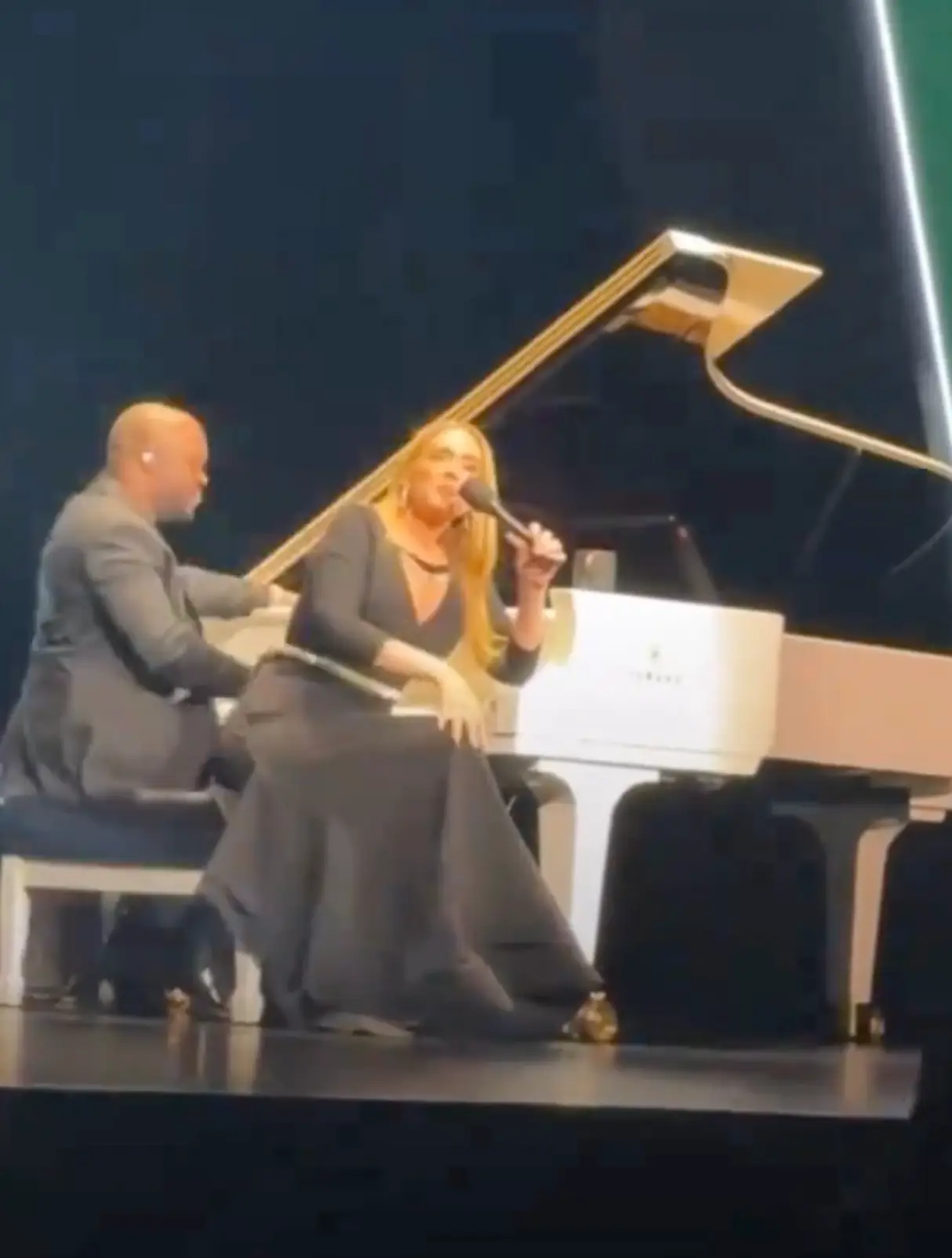 The British singer slammed the heckler. (X/@DiaryofDelly)