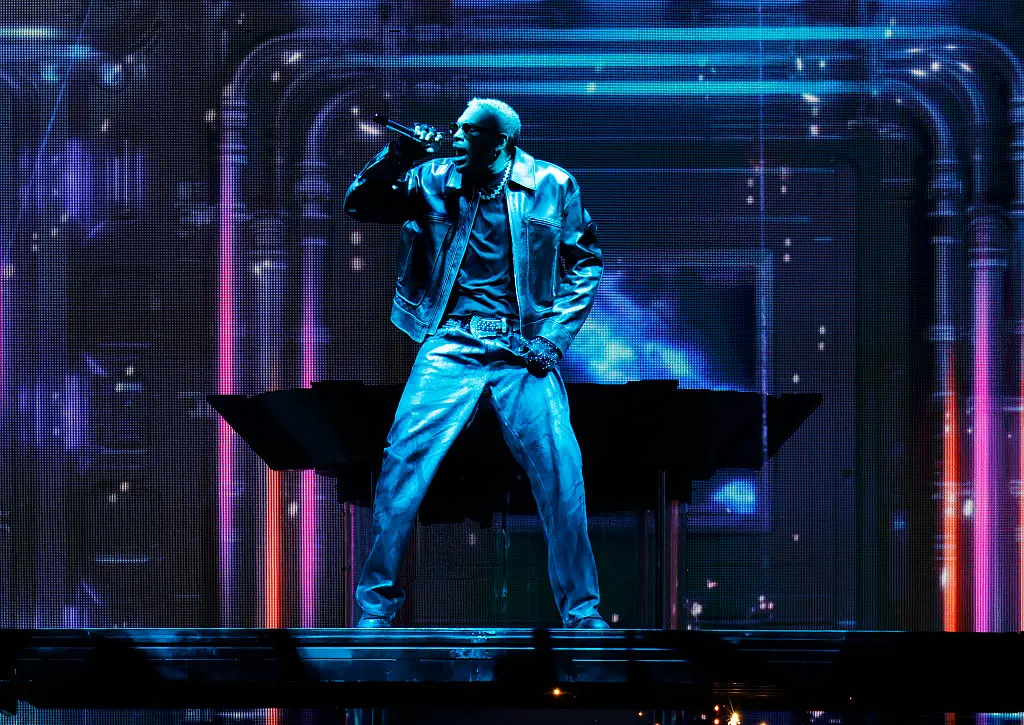 The fan said that she was there to see Chris Brown, not Usher (Photo by Jason Kempin/Getty Images)