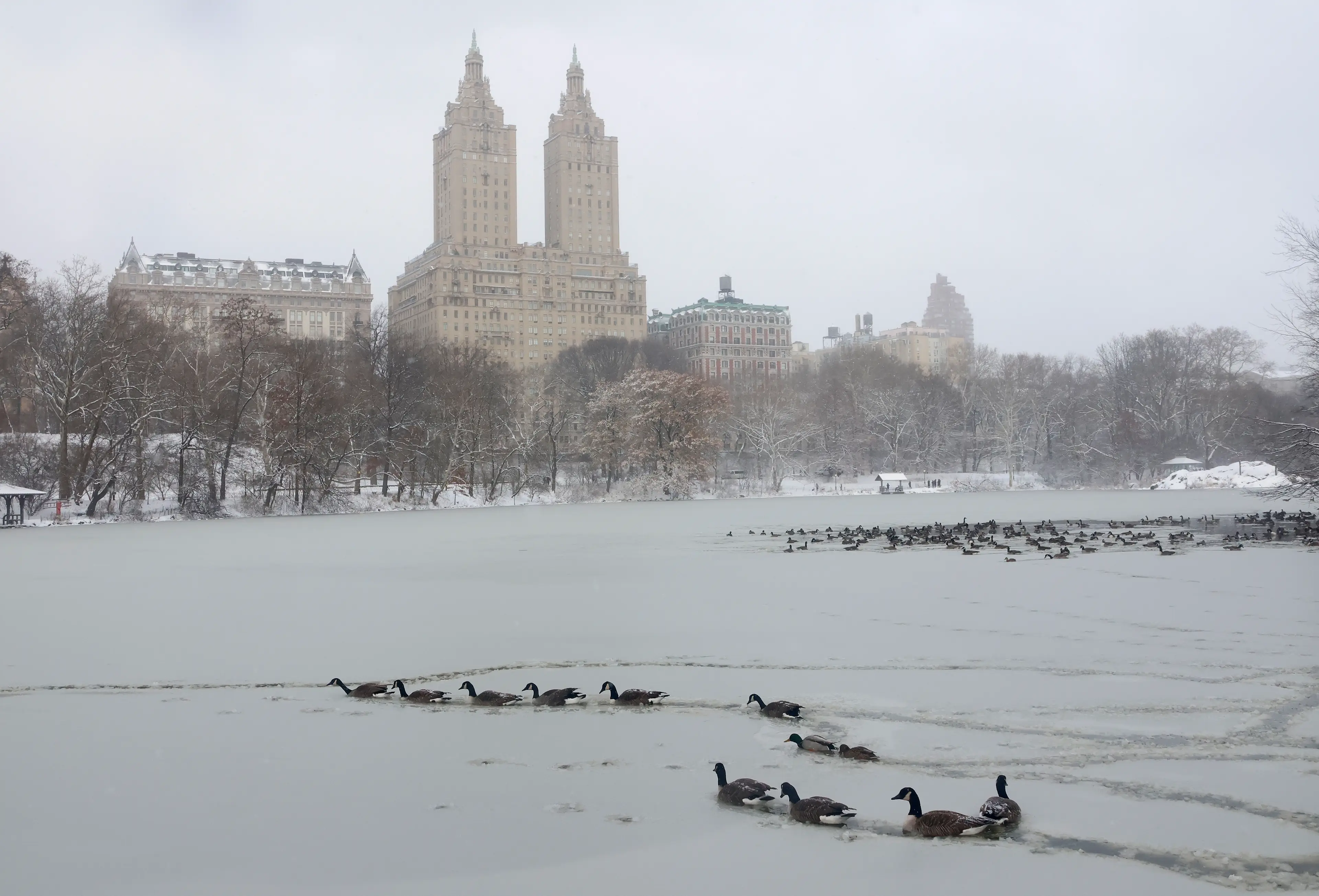 New York is predicted to be hit by snow (Gary Hershorn/Getty Images)