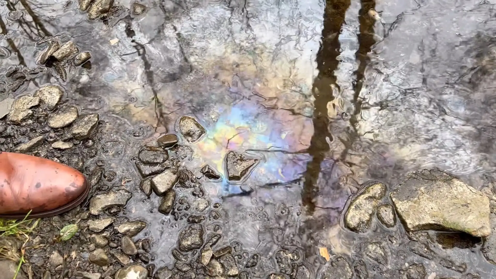 Scraping the bottom of the creek with a stick produced a similar effect.