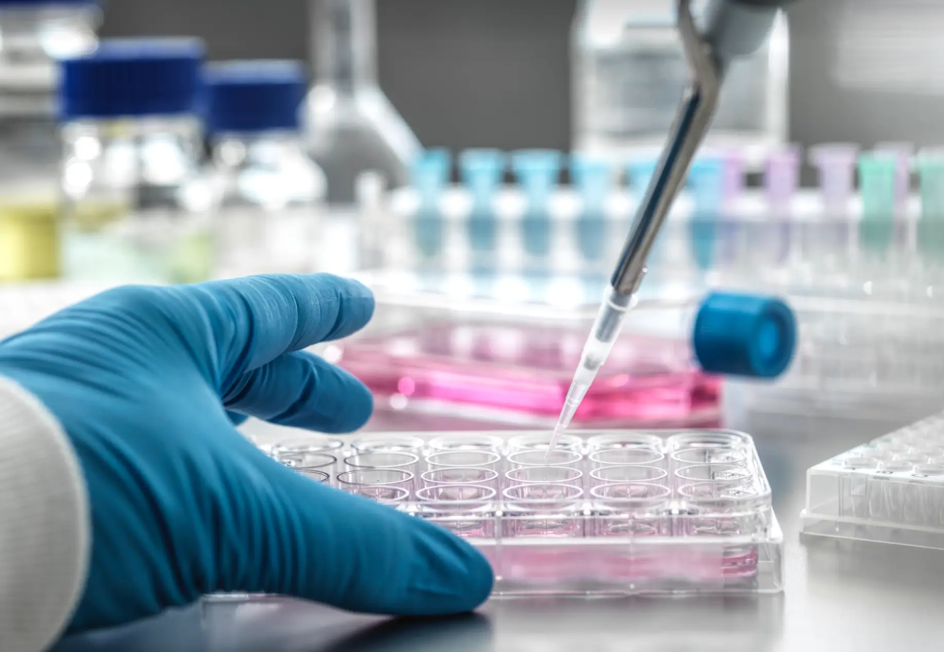 "They inseminated a female chimpanzee.” (Getty stock image)