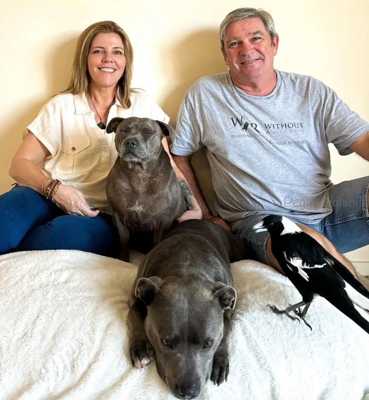 Molly the Magpie and Peggy the Staffy have been reunited! (Instagram/ @peggyandmolly)