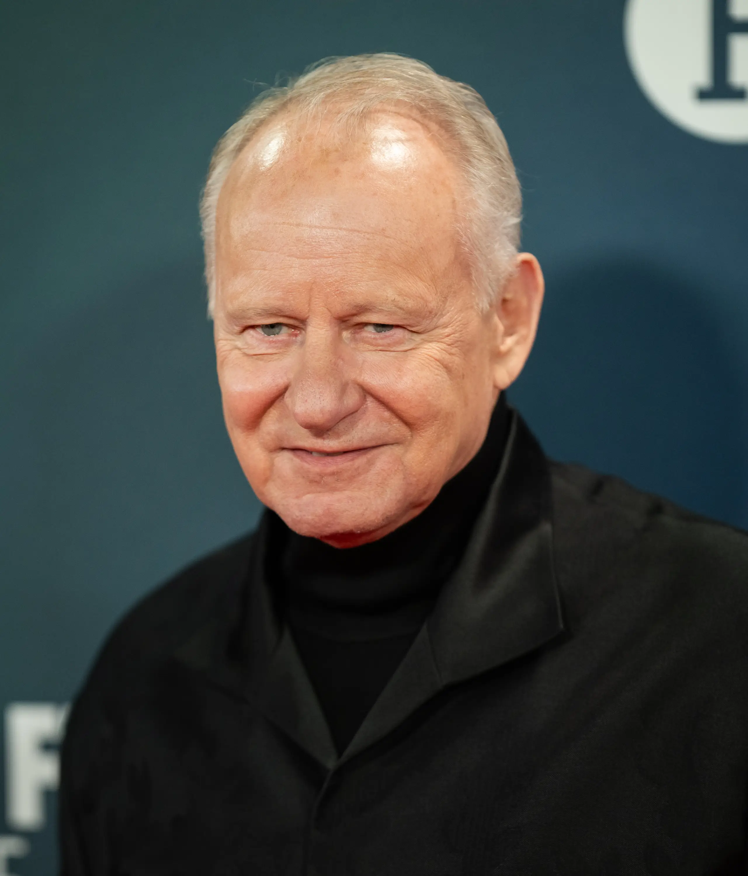 Stellan Skarsgård is part of one of the world’s most well-known acting families (Samir Hussein/WireImage)