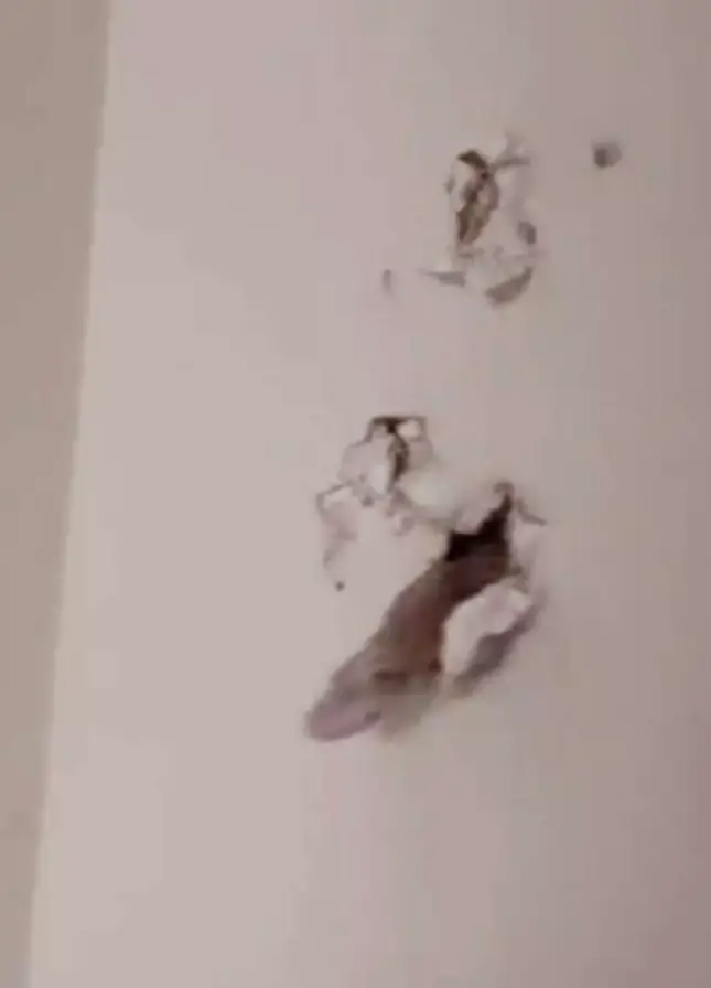 The men thought there was paranormal activity. (TikTok /@elportu)