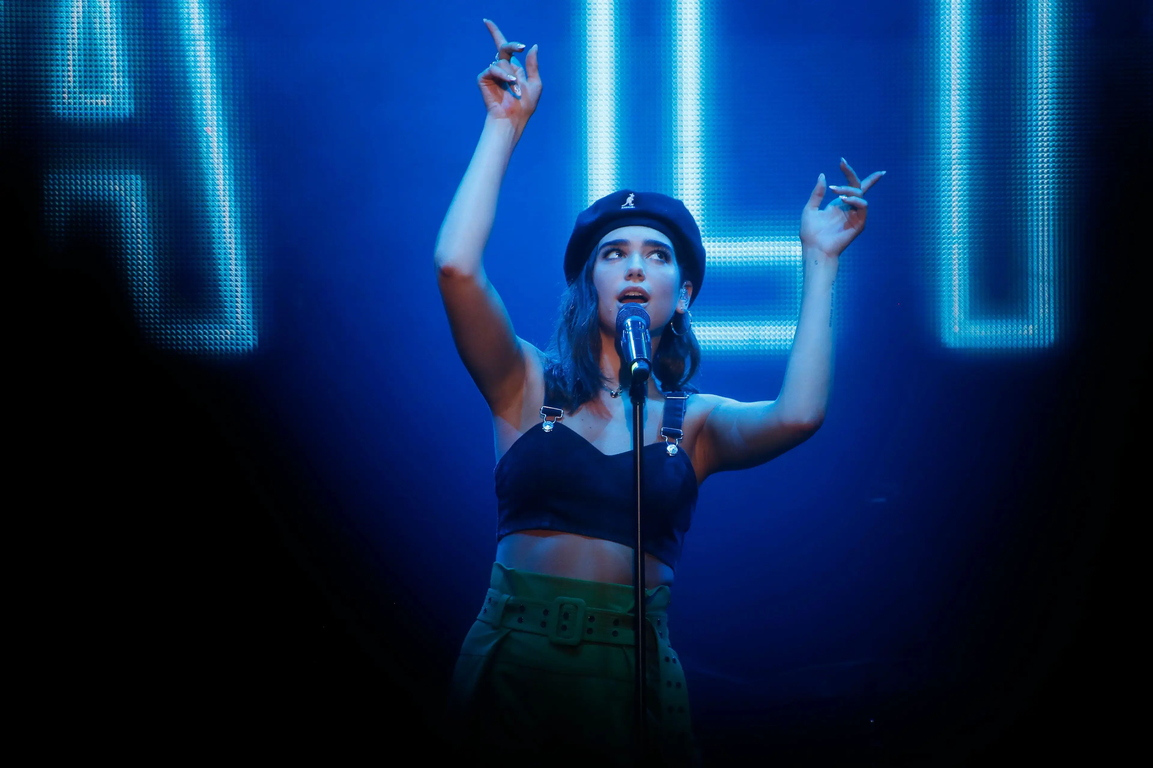 Dua Lipa was also sued by Barbera.