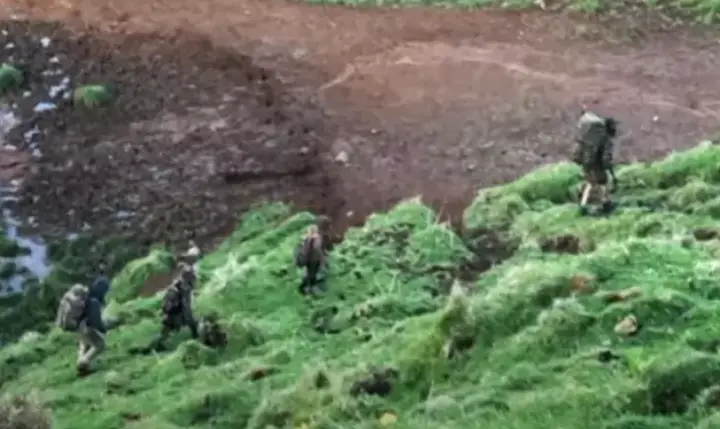 Teenage pig hunters reportedly spotted the father and the three children last October (1News)