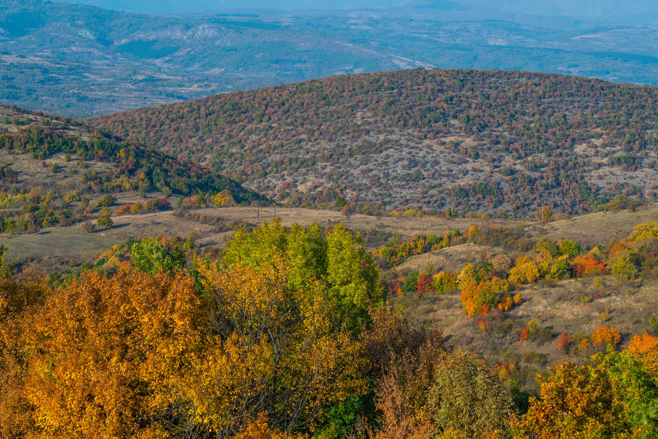 Researchers travelled to eastern Serbia to look for the snails. (Krle/Getty Stock)