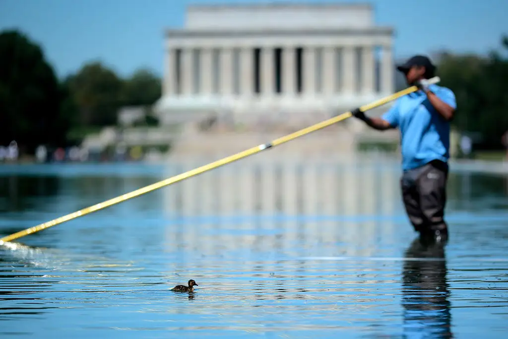 The Reflecting Pool has turned green after a $14m refurbishment finished last week (Photo by Chip Somodevilla/Getty Images)