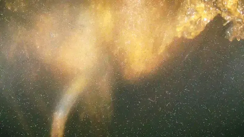 They found icicle-like structures inside. (TEPCO)