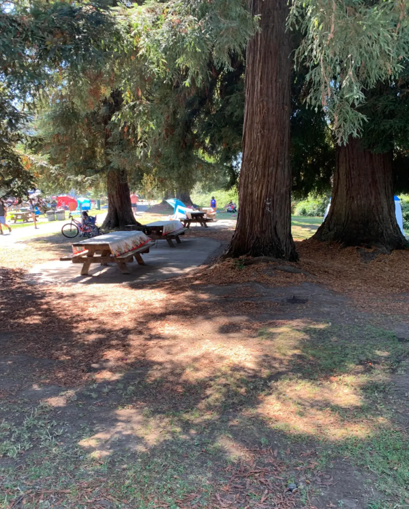 The Reddit post also showed the benches kept empty while others were forced to sit on the floor.