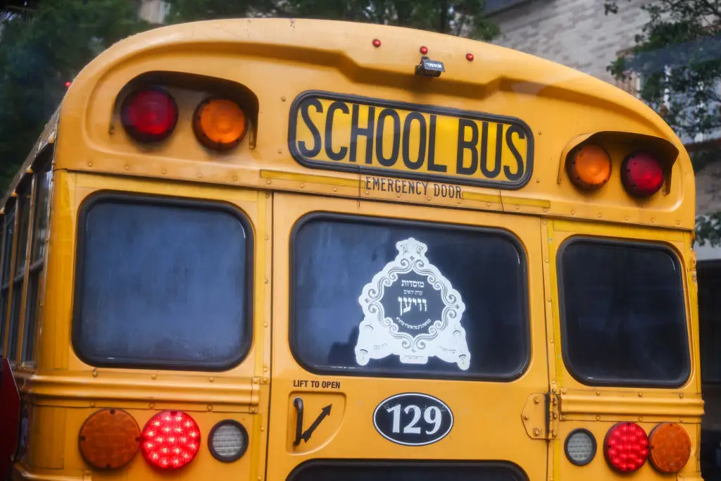 School buses haven't always been yellow. (Beata Zawrzel/NurPhoto via Getty Images)
