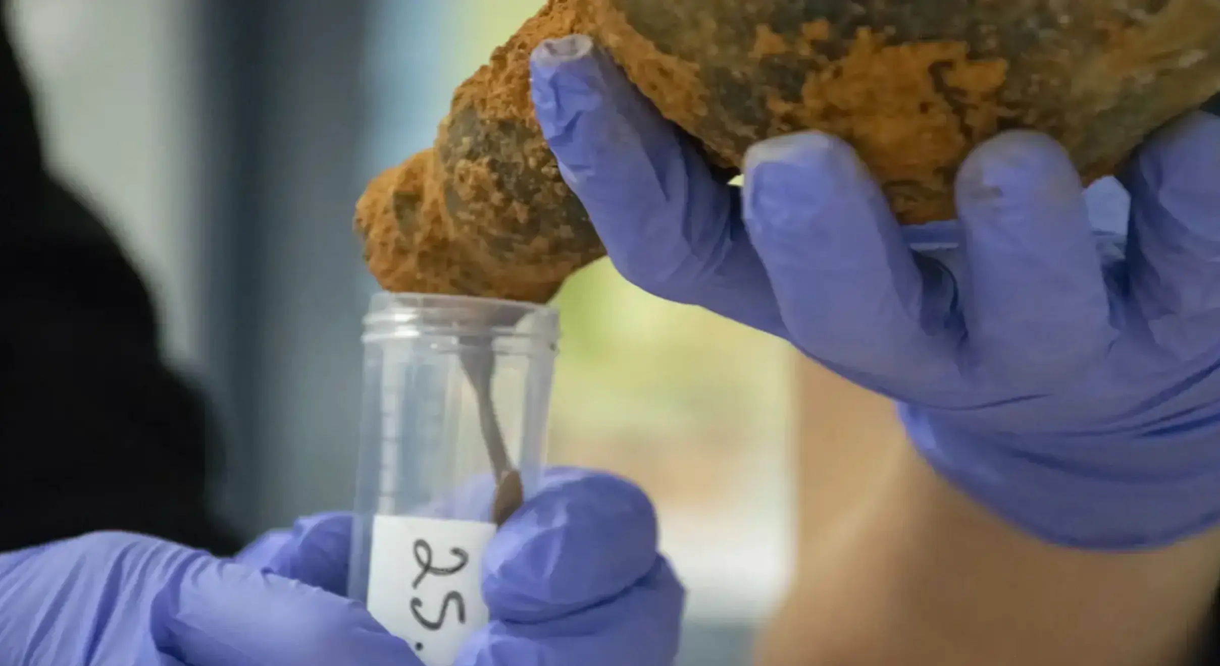 The bottles are very old. (Mount Vernon Ladiesâ Association)