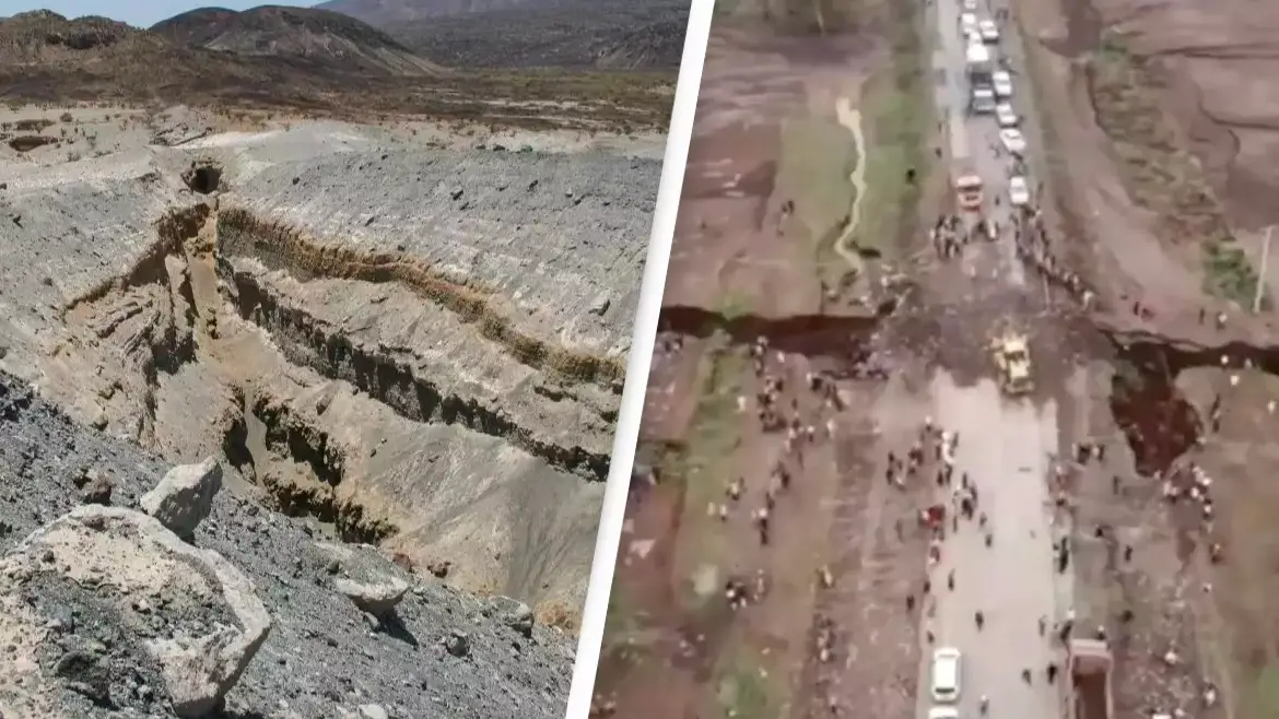 Julie Rowland, University of Auckland / BBC