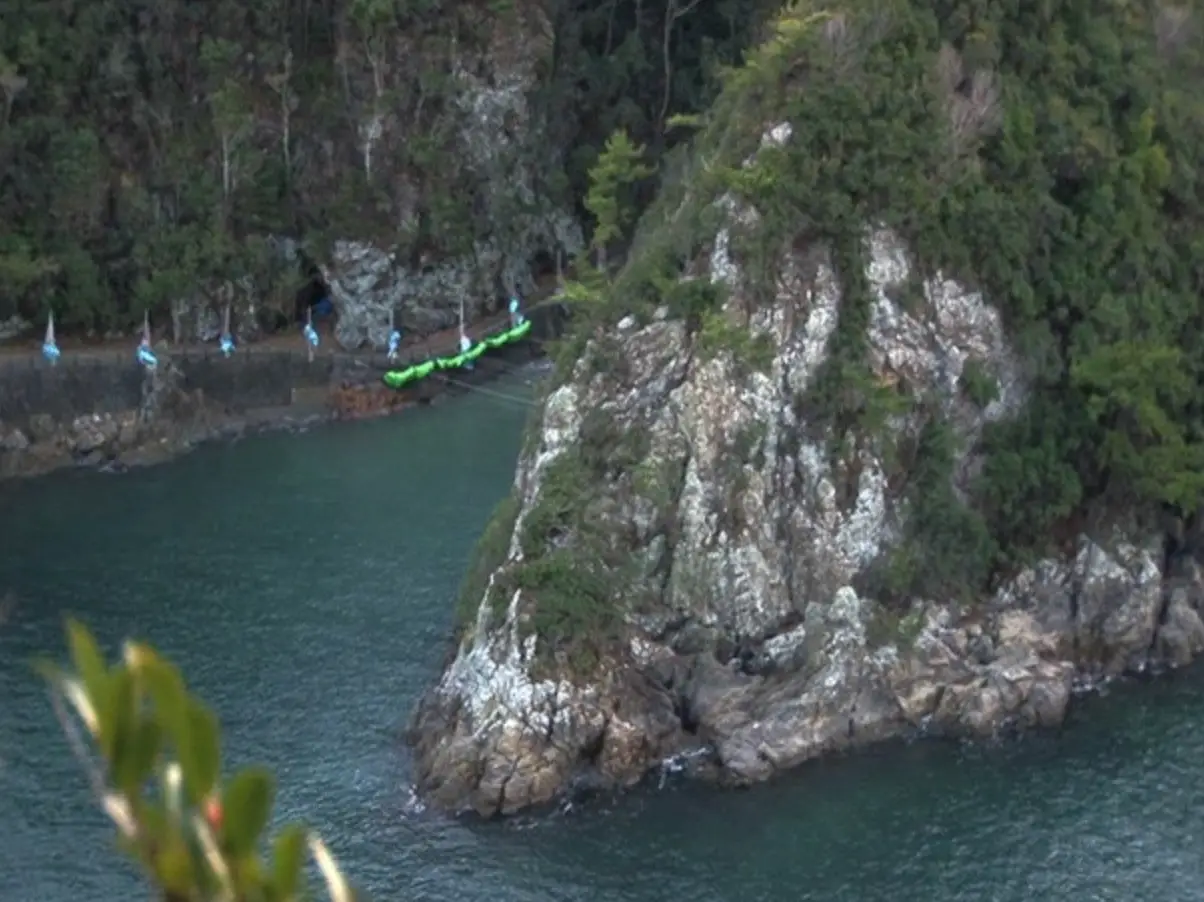 The Cove has a near-perfect Rotten Tomatoes score (Oceanic Preservation Society)