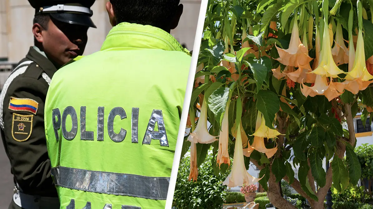 'World's scariest drug' has been used by organised crime gangs