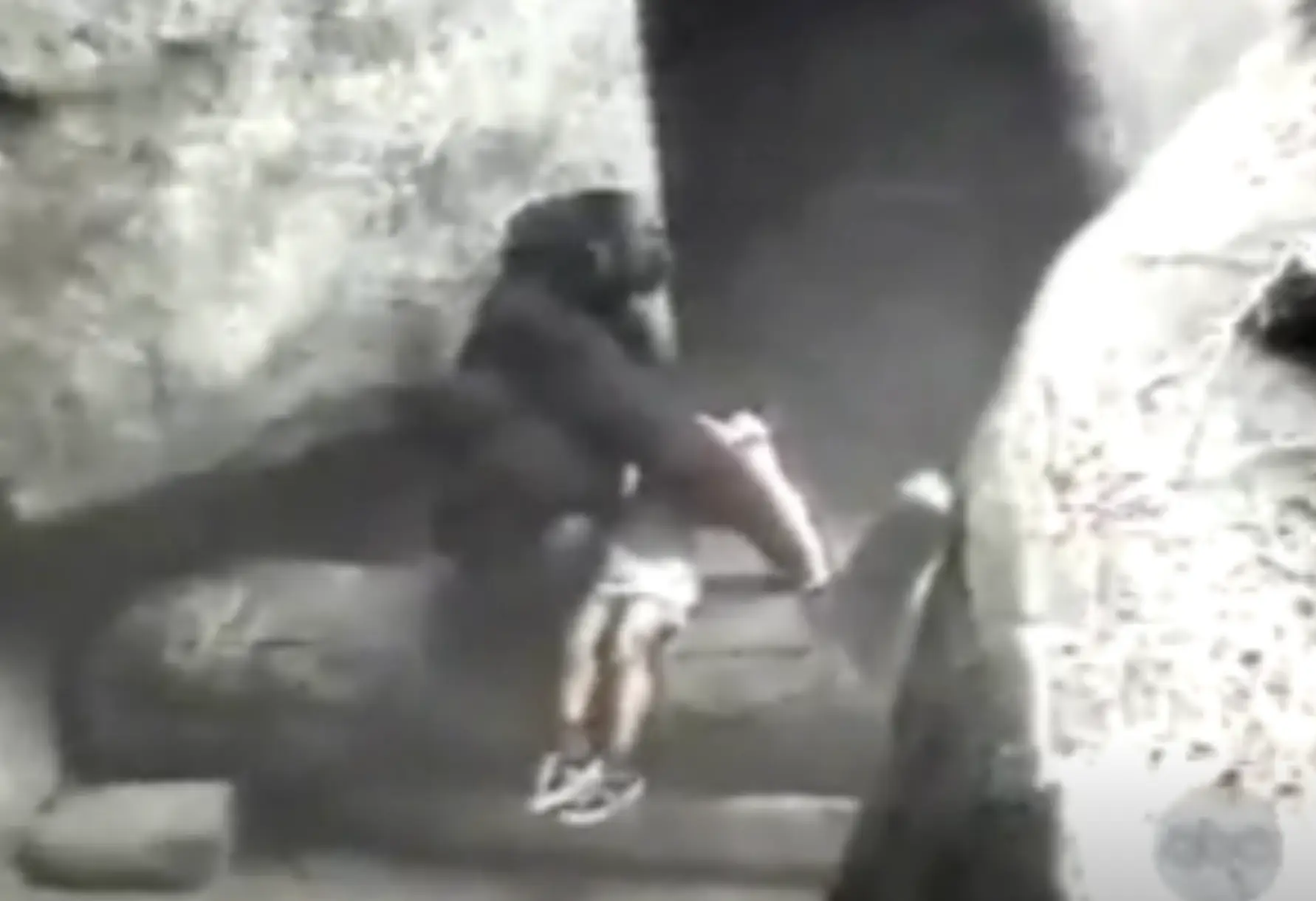 Binti became an international hero after rescuing the young boy.