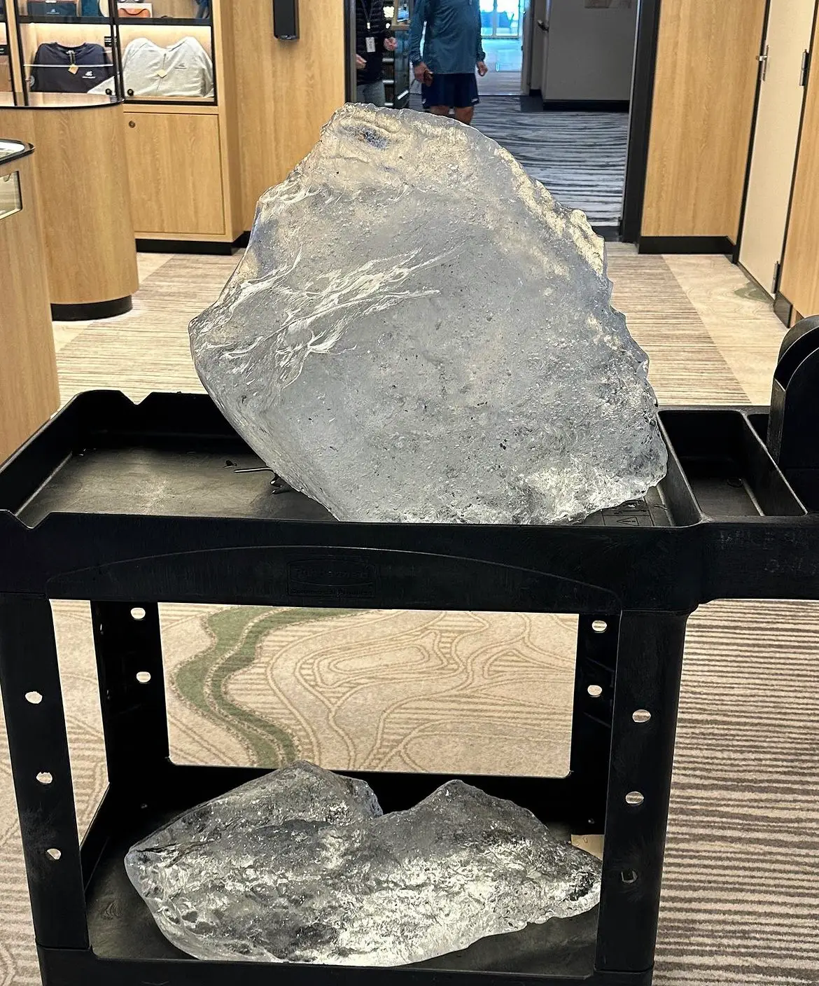 Martha Stewart was branded as 'tone deaf' during a climate emergency