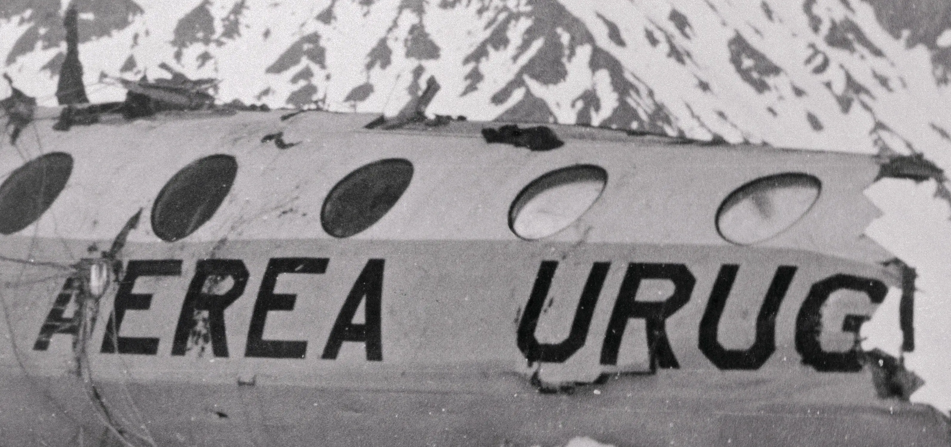 A photo of the plane wreckage the survivors sheltered in (Bettman/Contributor/Getty)