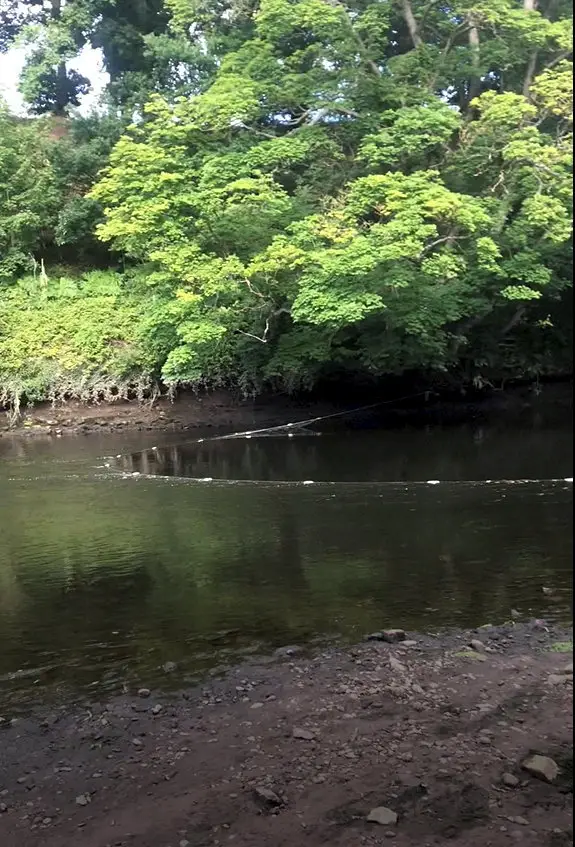 The pair received suspended sentences and were ordered to complete 200 hours in unpaid work.