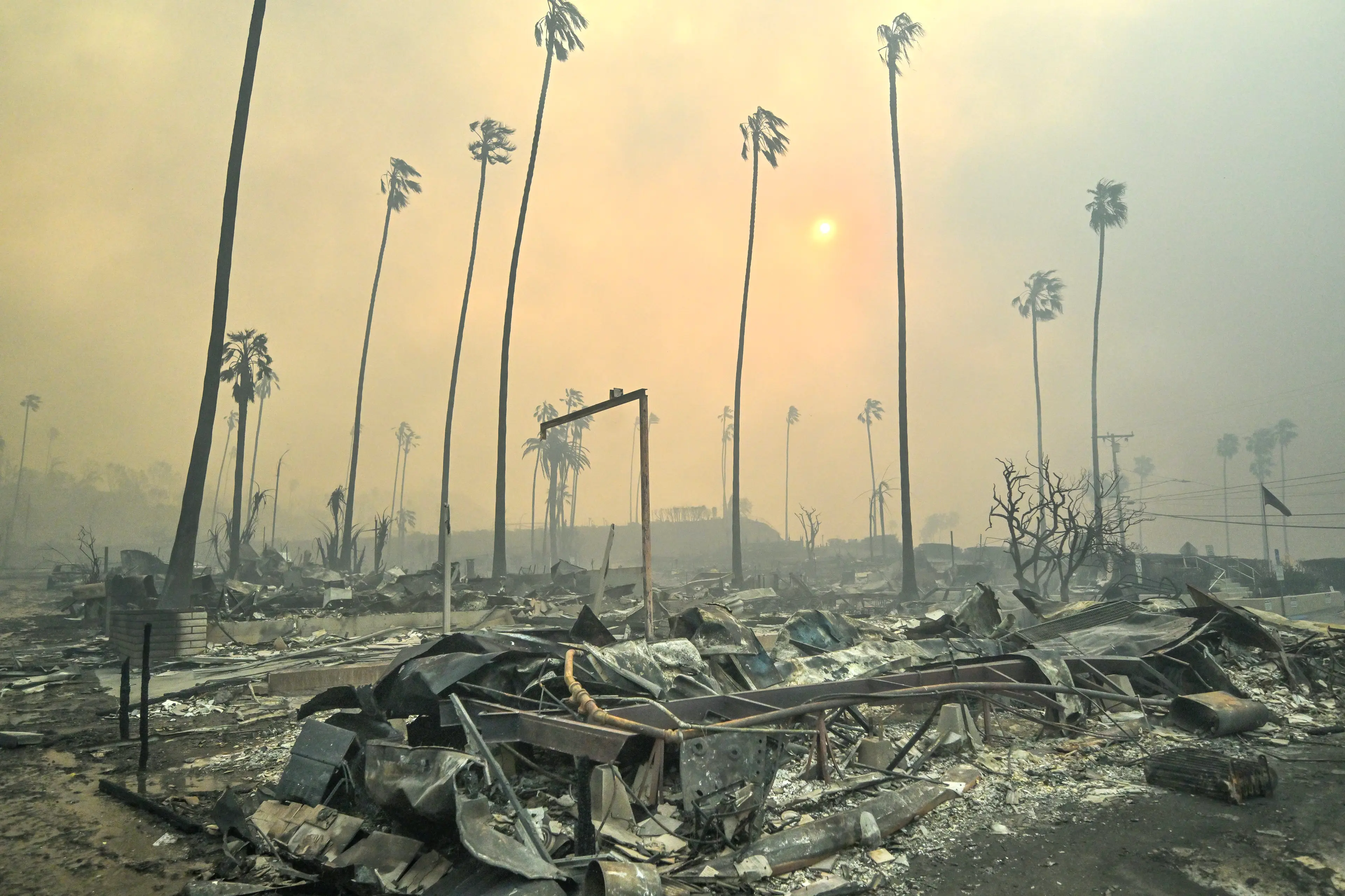 The Palisades Fire has decimated neighbourhoods (Jeff Gritchen/MediaNews Group/Orange County Register via Getty Images)