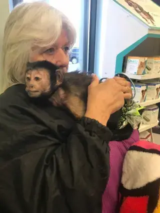 Deutsch 'had at least seven monkeys', her biological daughter says (Facebook/Brenda Deutsch)