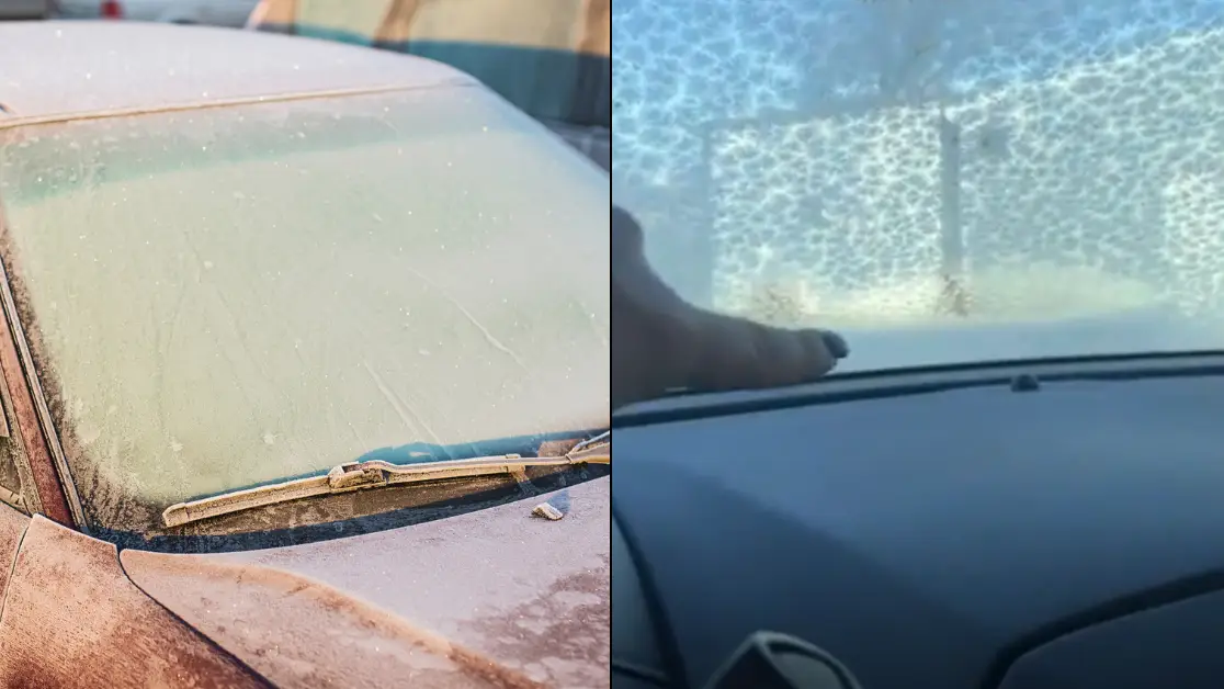 Getty Stock Photo / TikTok/@saraedeutsch