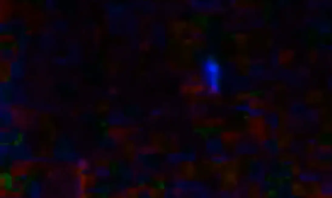 Buckmaster believed the footage showed a ghost.