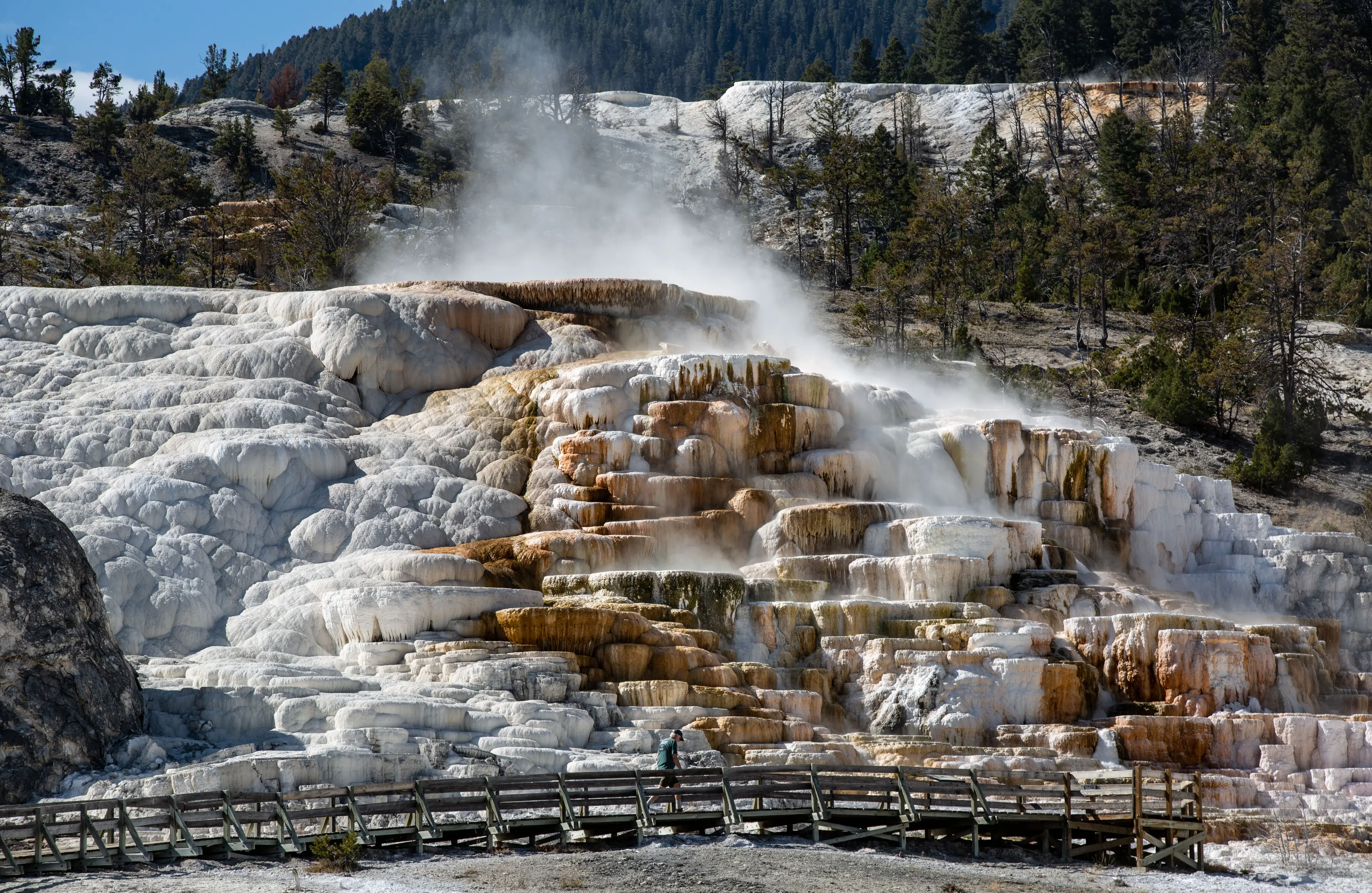 Yellowstone sits atop an active volcanic caldera. (George Rose/Getty Images)