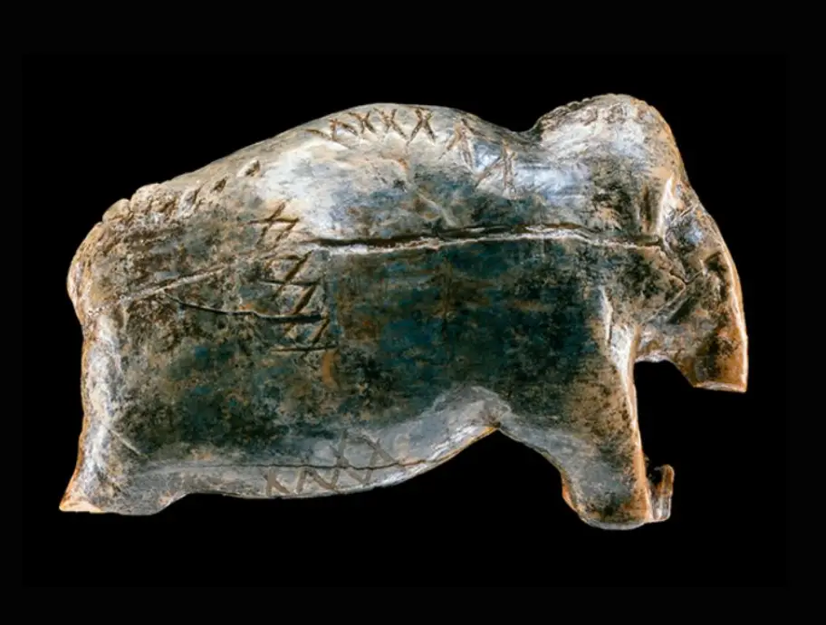 As far as we know humans wouldn't get to written languages for several thousand more years, but researchers think these markings meant something (Bentz & Dutkiewicz, PNAS, 2026)