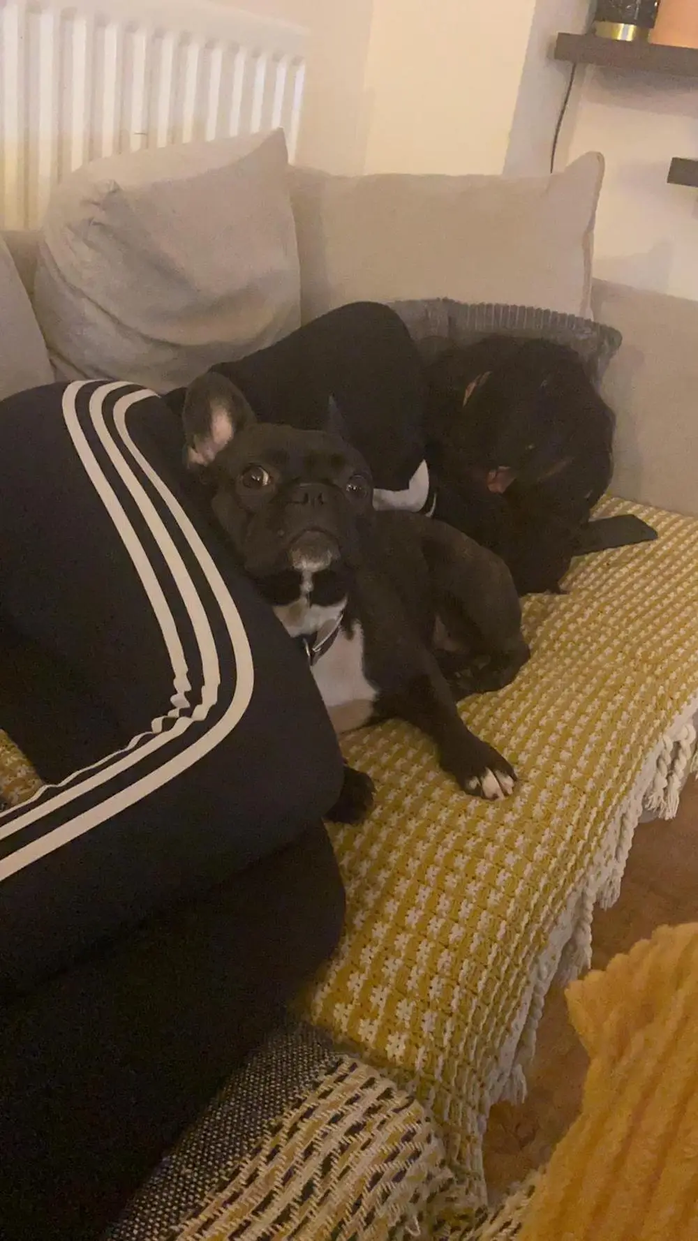 Drinking consumed my life before I sought help