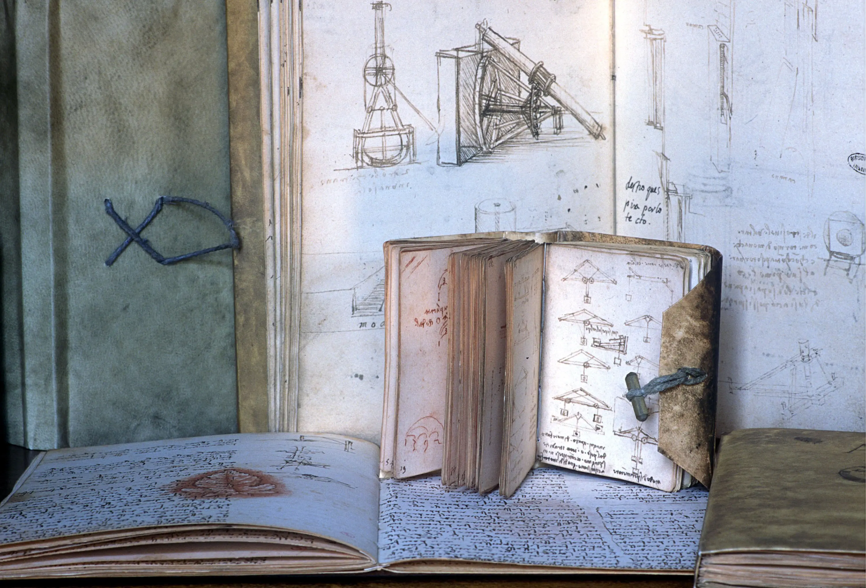 It's his DNA code that they're looking at. (Franco Origlia/Getty Images)