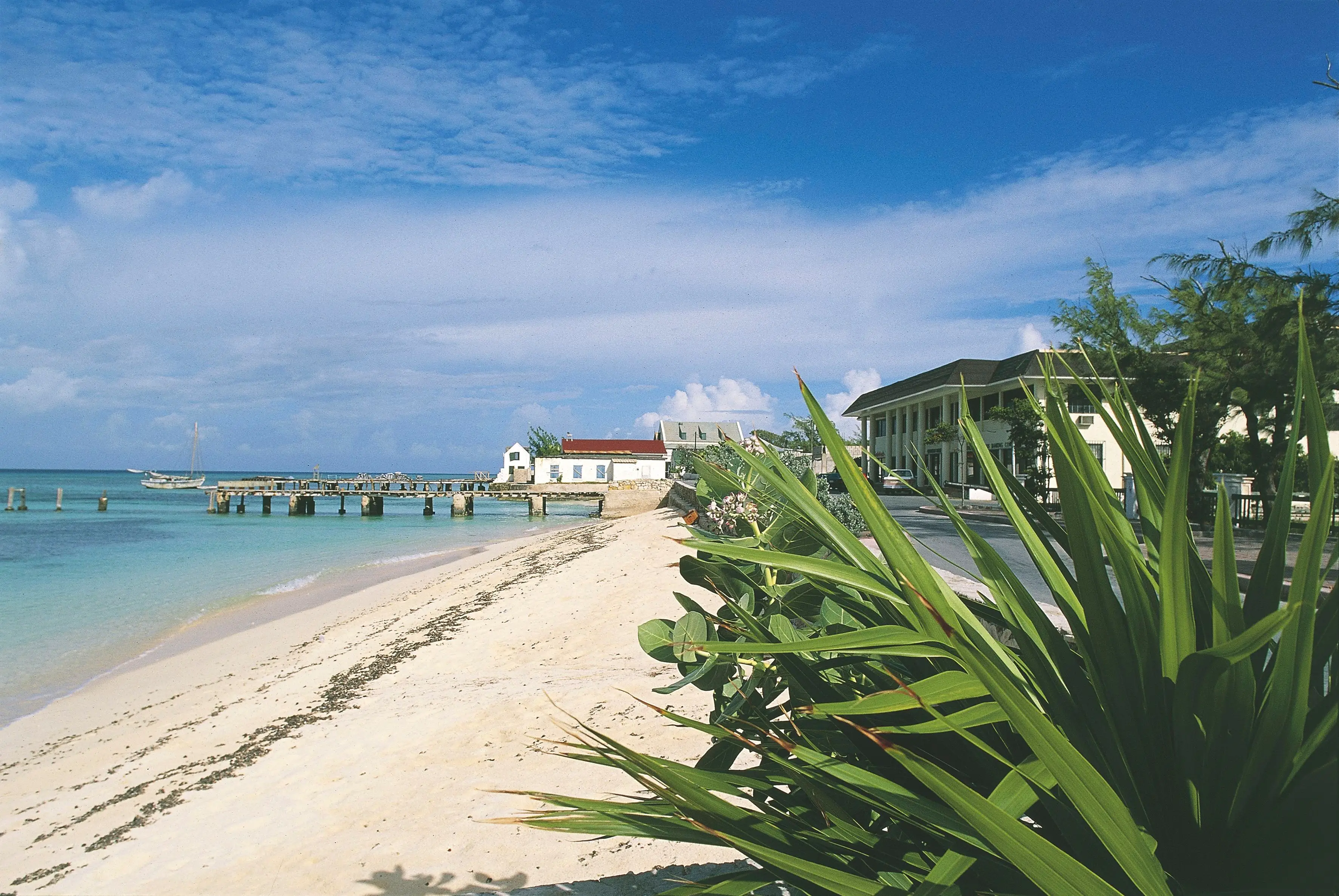 The woman is expected to survive the shark attack. (DEA / S. AMANTINI / Contributor/Getty)