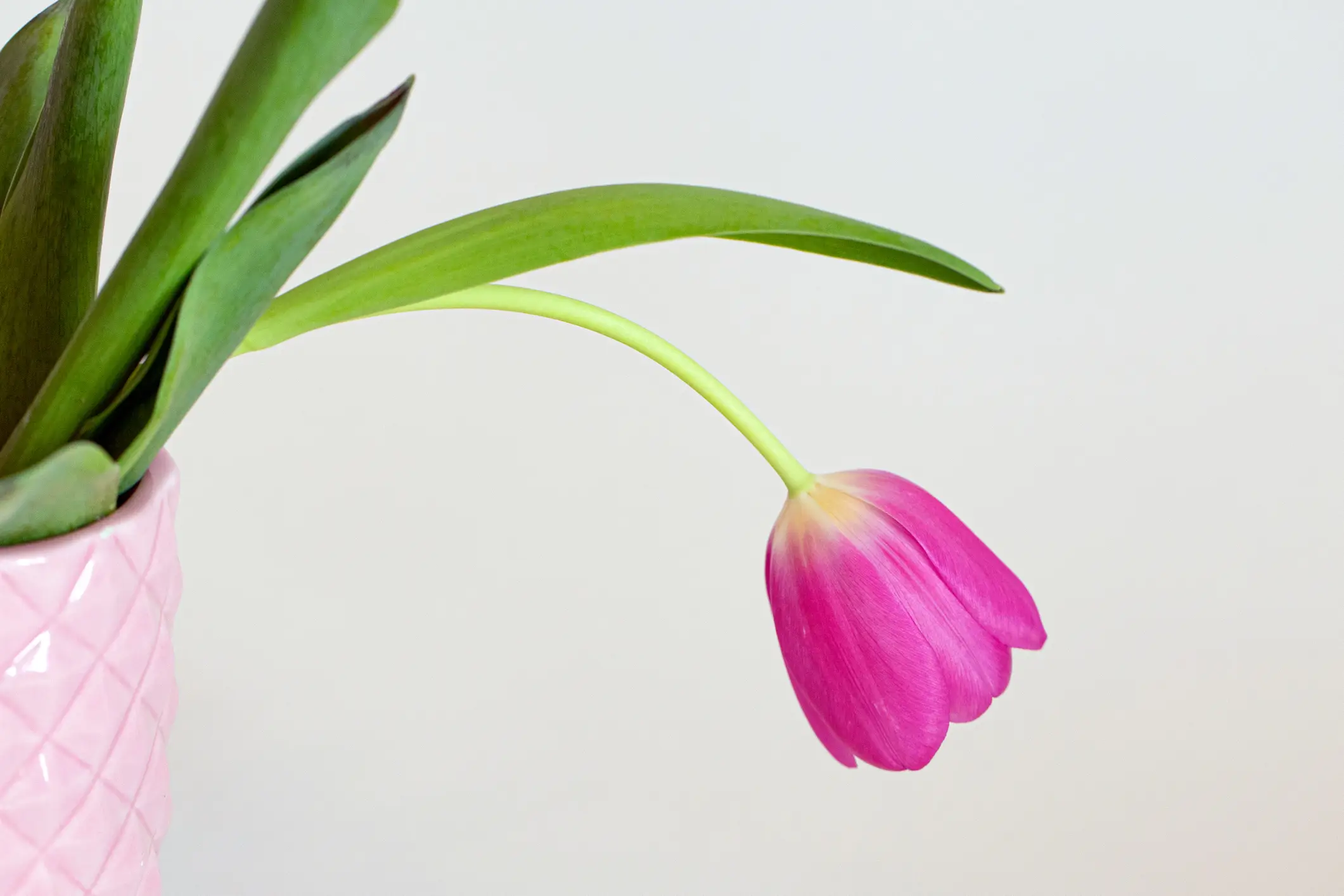 If yours looks exactly like this then you should definitely see a doctor (Getty Stock Photo)