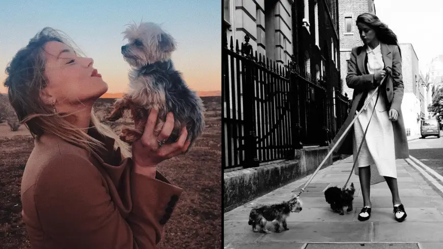 Instagram/amberheard.