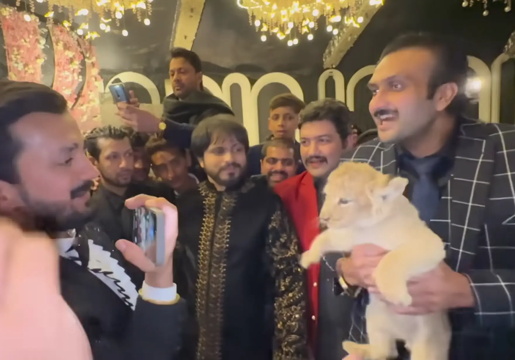 As punishment he's got to make some videos about animal welfare (YouTube/Lion Hub)