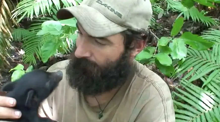 Meet Piggy. (YouTube/Olivier Vittel)