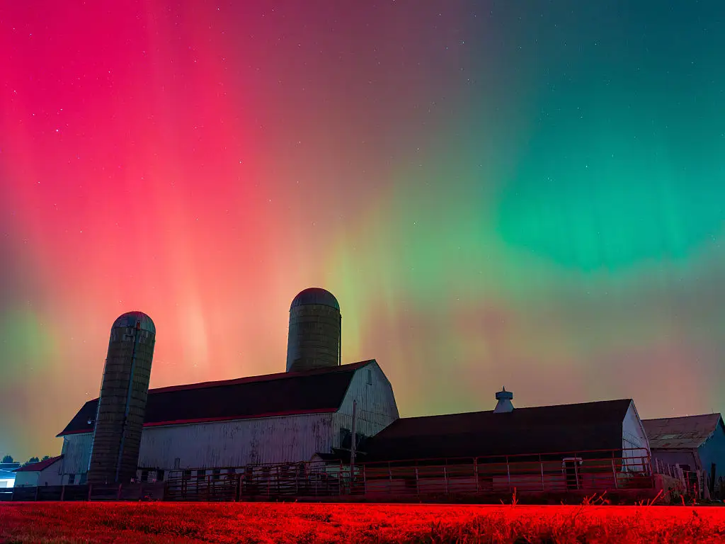 The northern lights have been visible above Europe and the US the past few days (Ross Harried/NurPhoto via Getty Images)