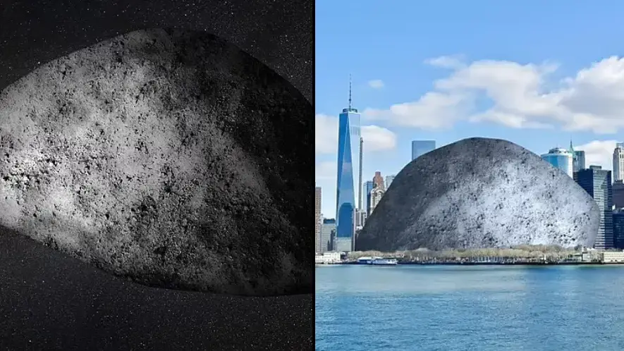 The Planetary Society