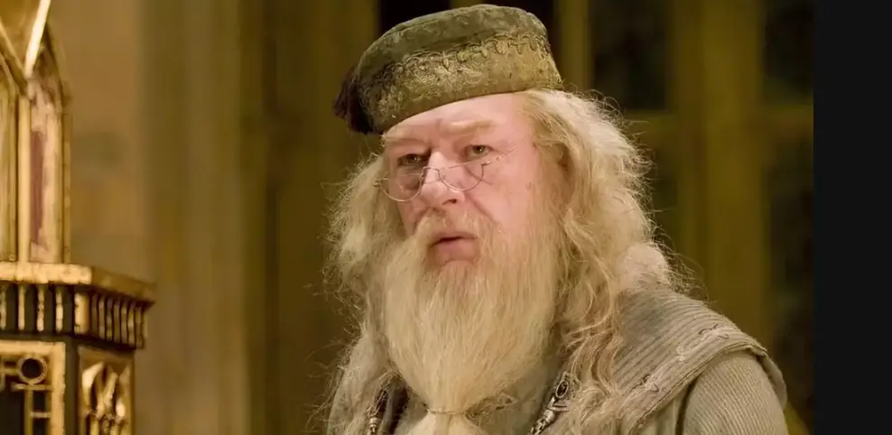 The role was famously played by Michael Gambon (Warner Bros)