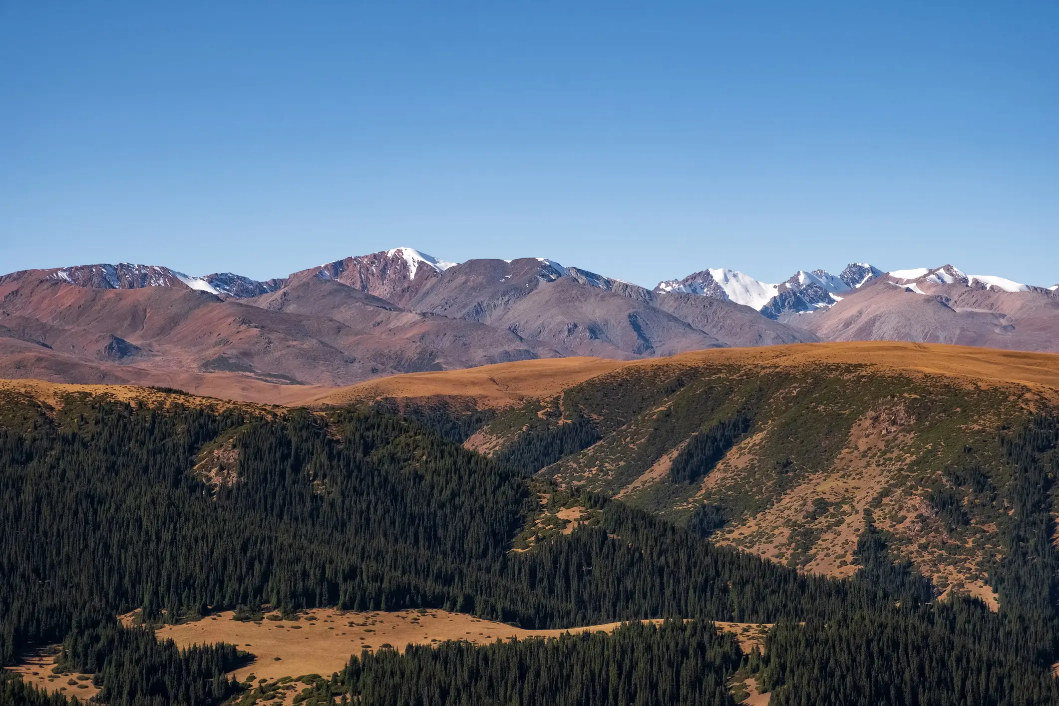 The structure is part of something much bigger (Getty Stock Image)