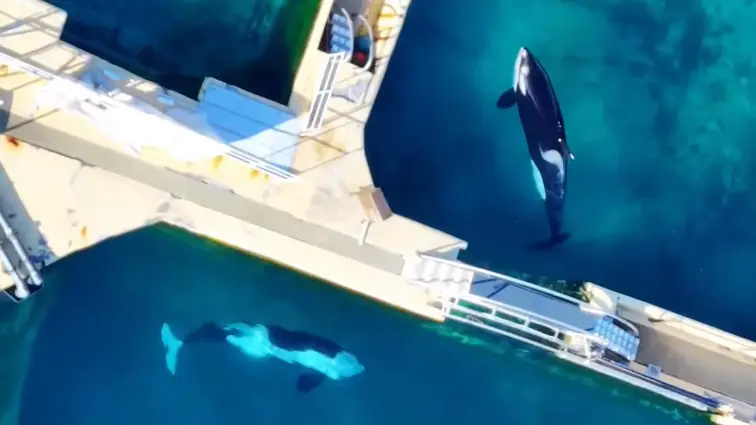 @‌wearetidebreakers/Instagram