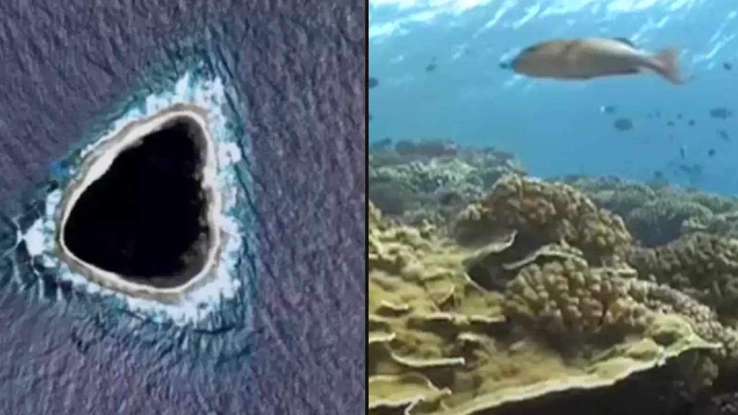 Diver shows reality of mysterious 'hole' completely blacked out of Google Maps